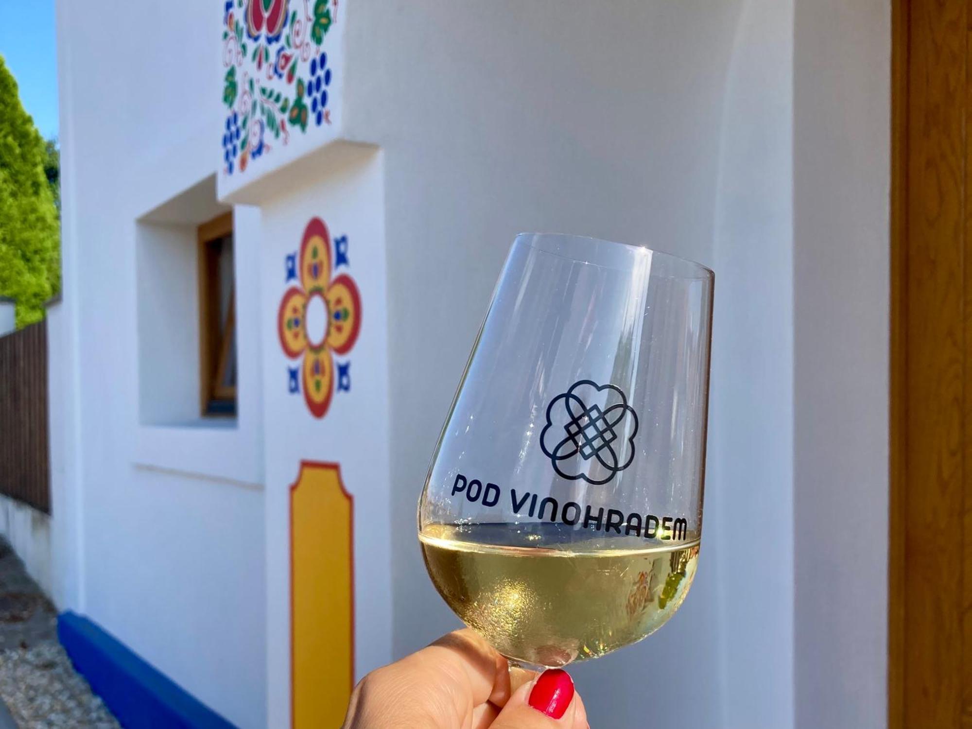 Pod Vinohradem - Apartmany & Vinne Sklepy Mutěnice Exteriér fotografie