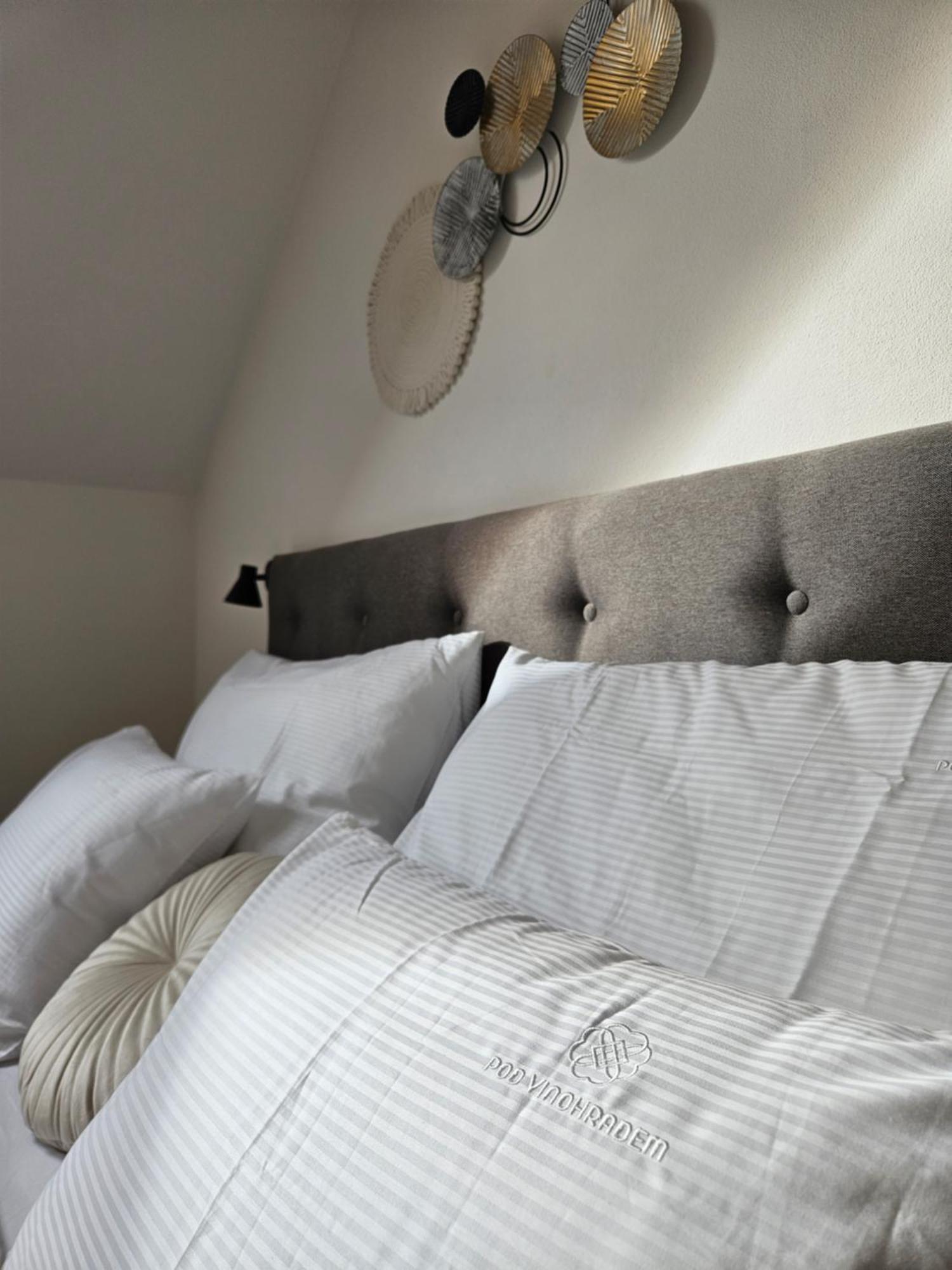Pod Vinohradem - Apartmany & Vinne Sklepy Mutěnice Exteriér fotografie